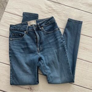 Everlane Curvy high rise Skinny Jeans Classic Style